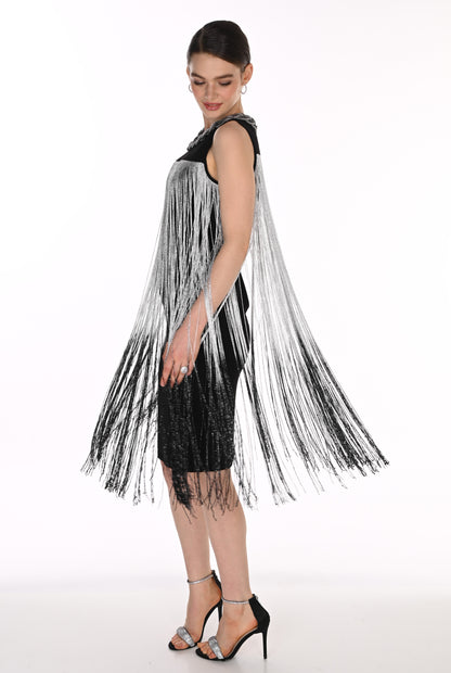 Lyman Dress 269700 Silver/Black